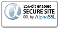 Secure Trasactions by RapidSSL Certificate