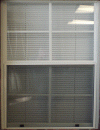 Custom Window Screens