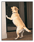 Pet Guards, Pet Screens